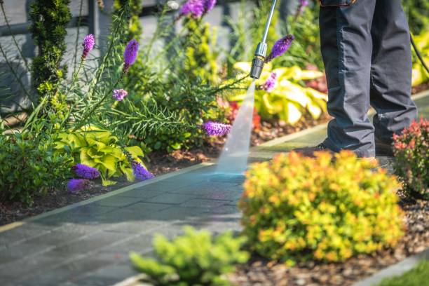 Best Driveway Pressure Washing  in Foreman, AR